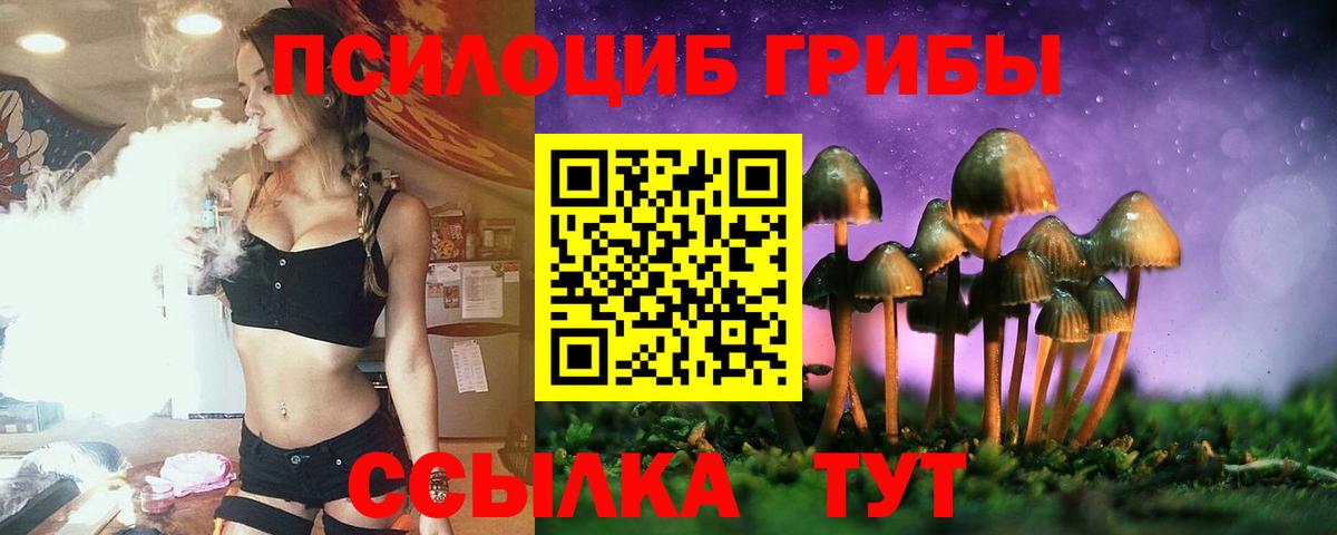 Псилоцибиновые грибы Psilocybe  Вход с VPN  Тосно  Псилоцибиновые грибы Magic Shrooms 